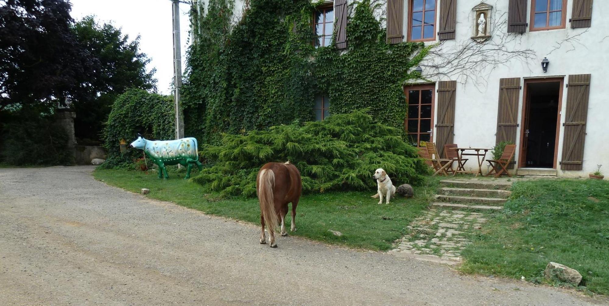 Ferme Du Montheu Bed & Breakfast Dommartin-sous-Amance Exterior photo